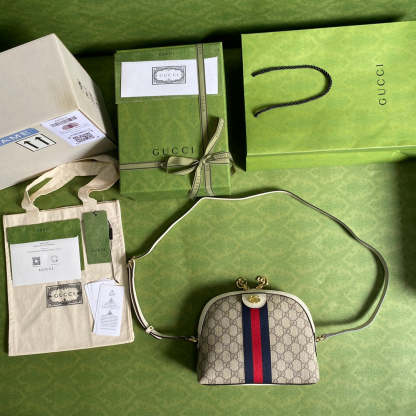 Luxury Bag - 129