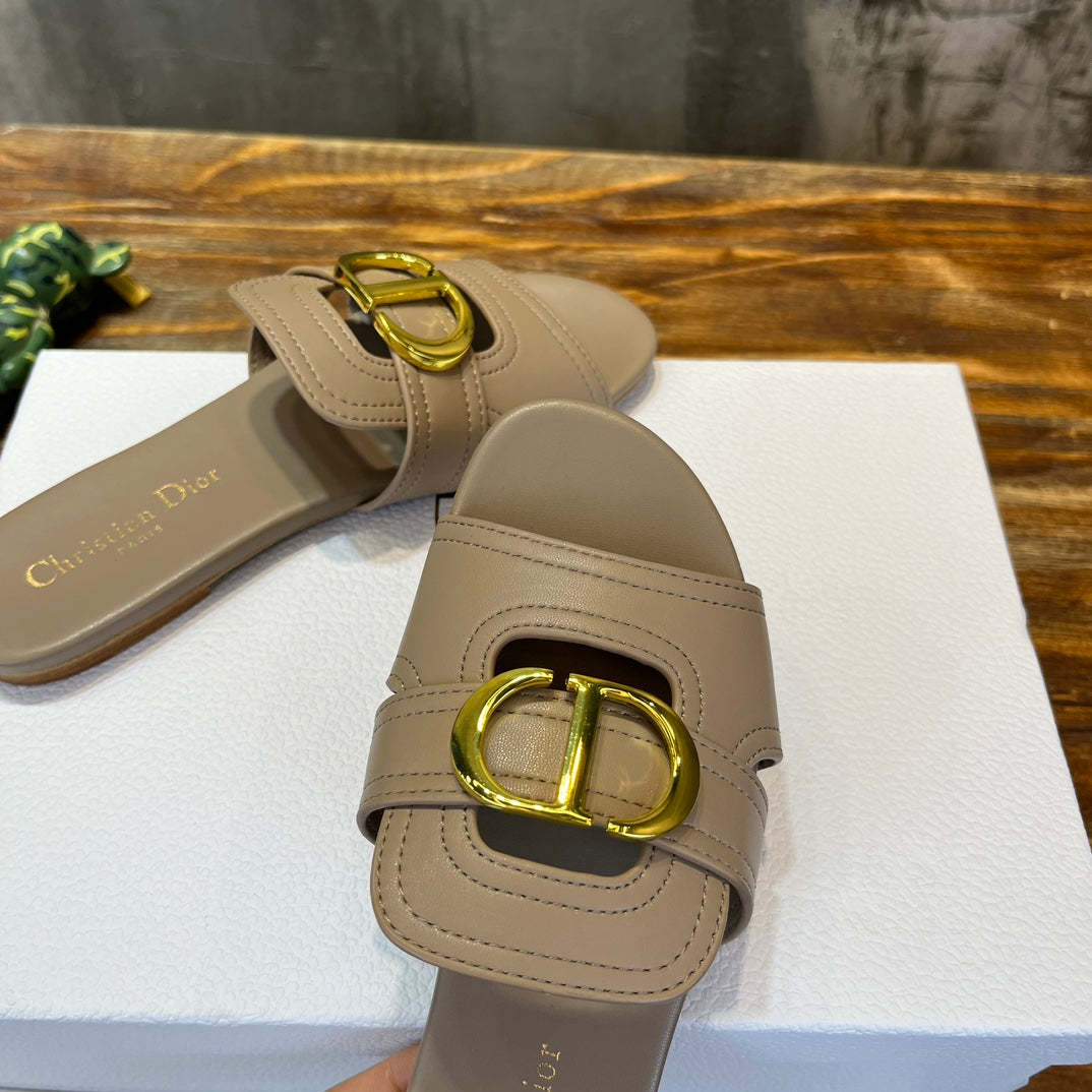 Luxury Shoes - DIR - 485