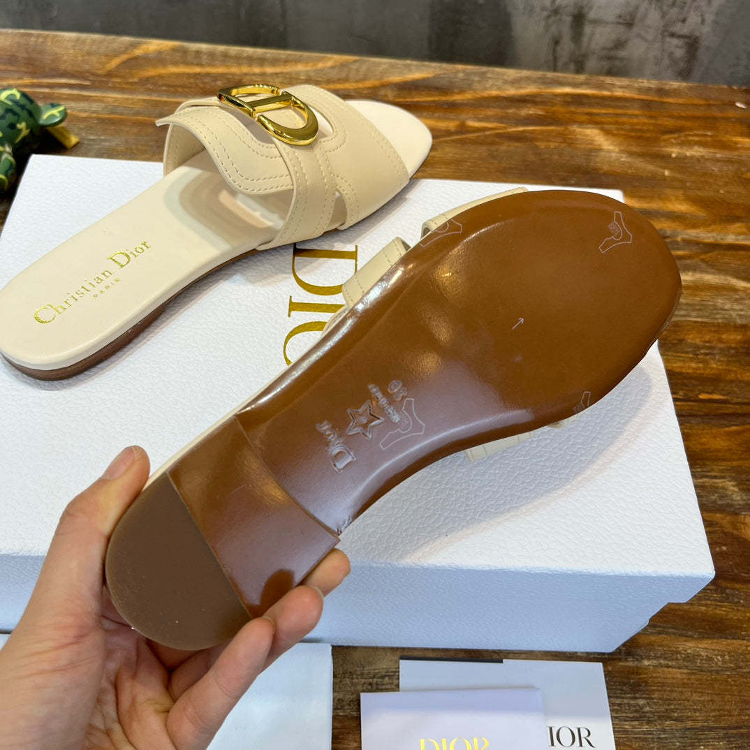 Luxury Shoes - DIR - 484