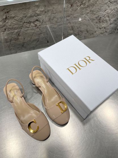 Luxury Shoes - DIR - 253