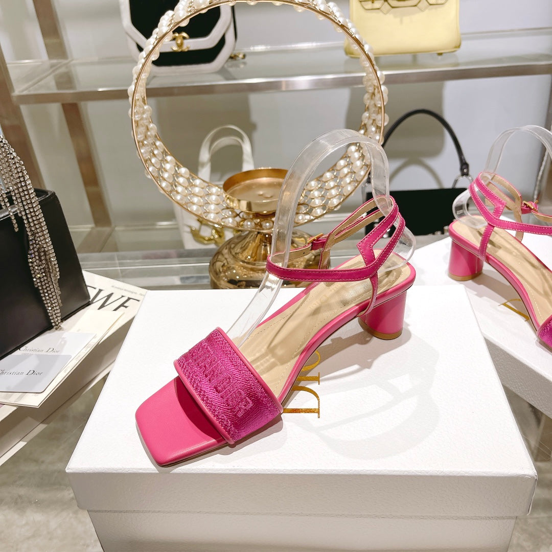 Luxury Shoes - DIR - 091