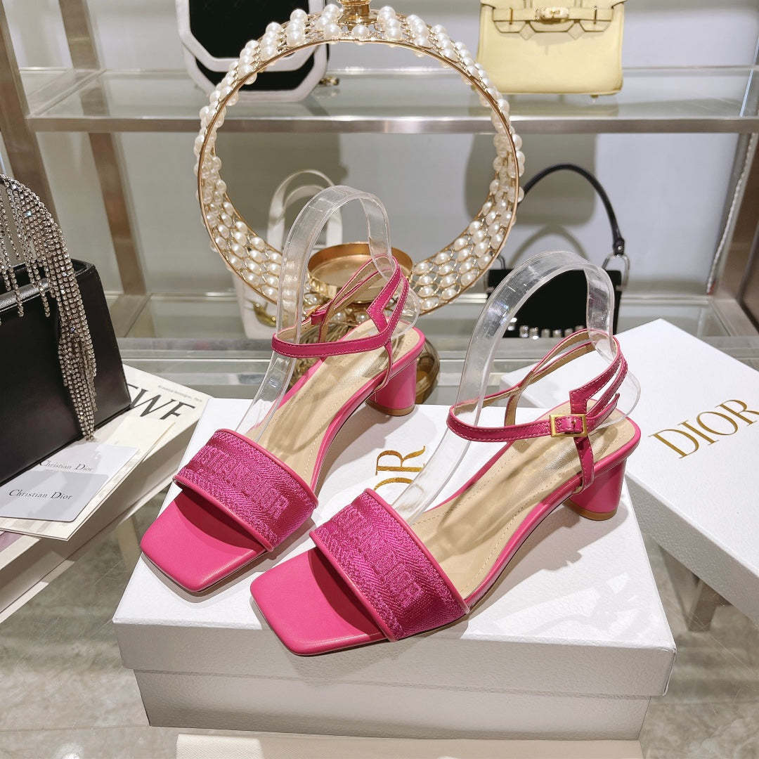 Luxury Shoes - DIR - 091
