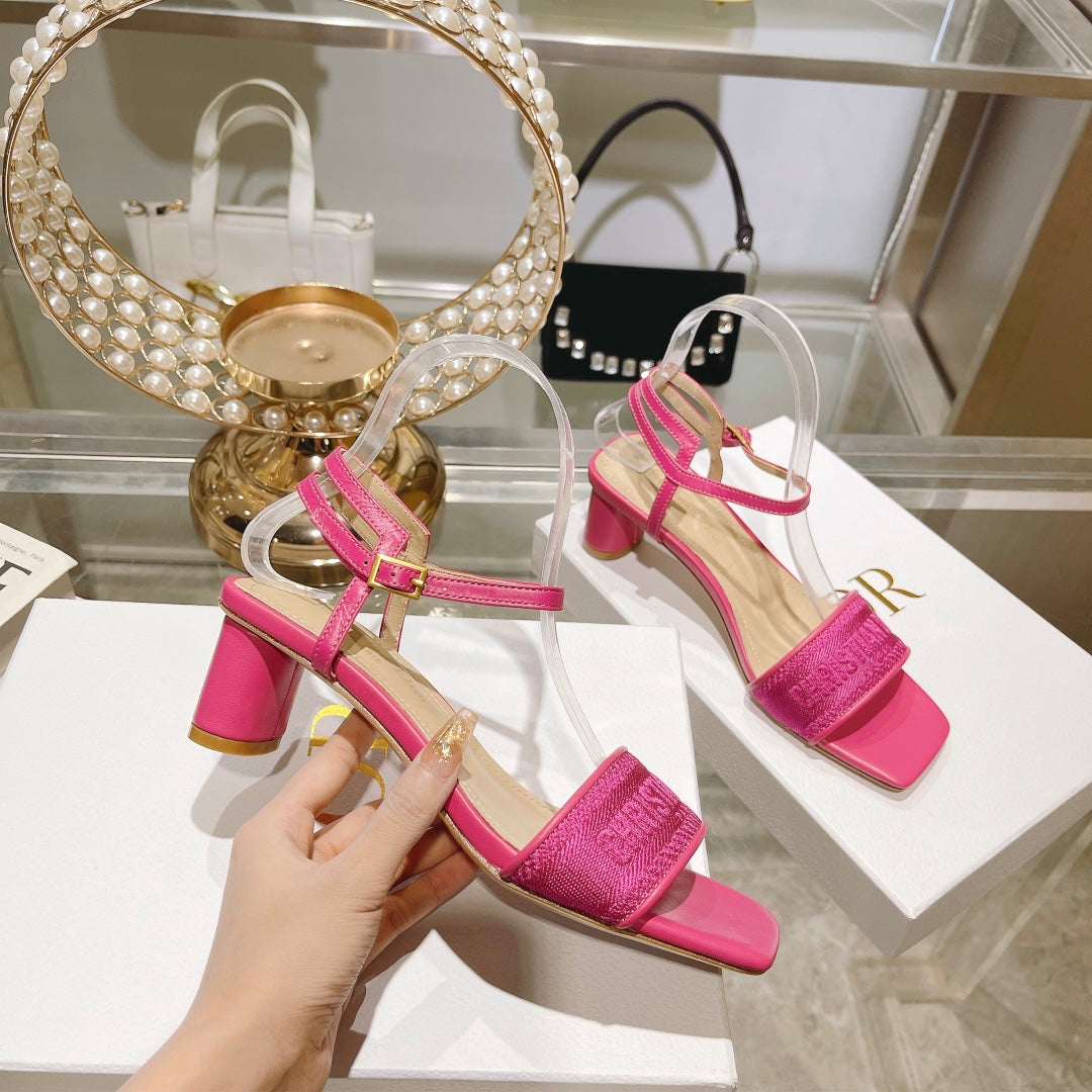 Luxury Shoes - DIR - 091