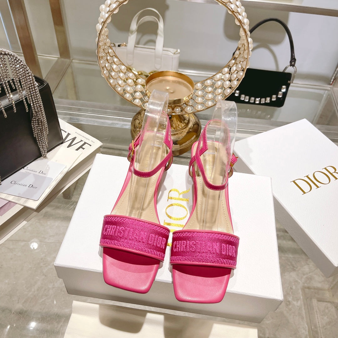 Luxury Shoes - DIR - 091