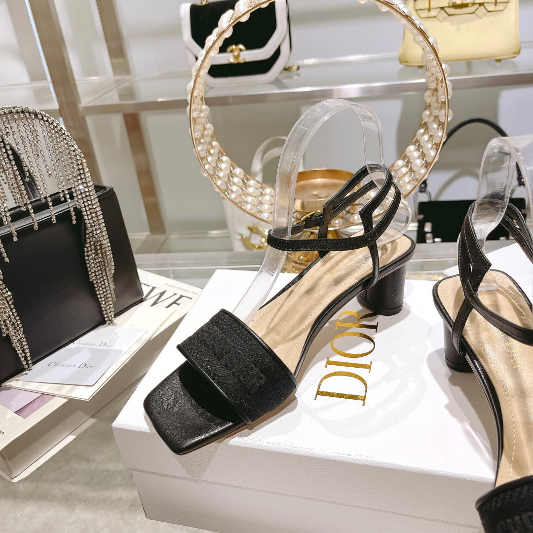 Luxury Shoes - DIR - 097