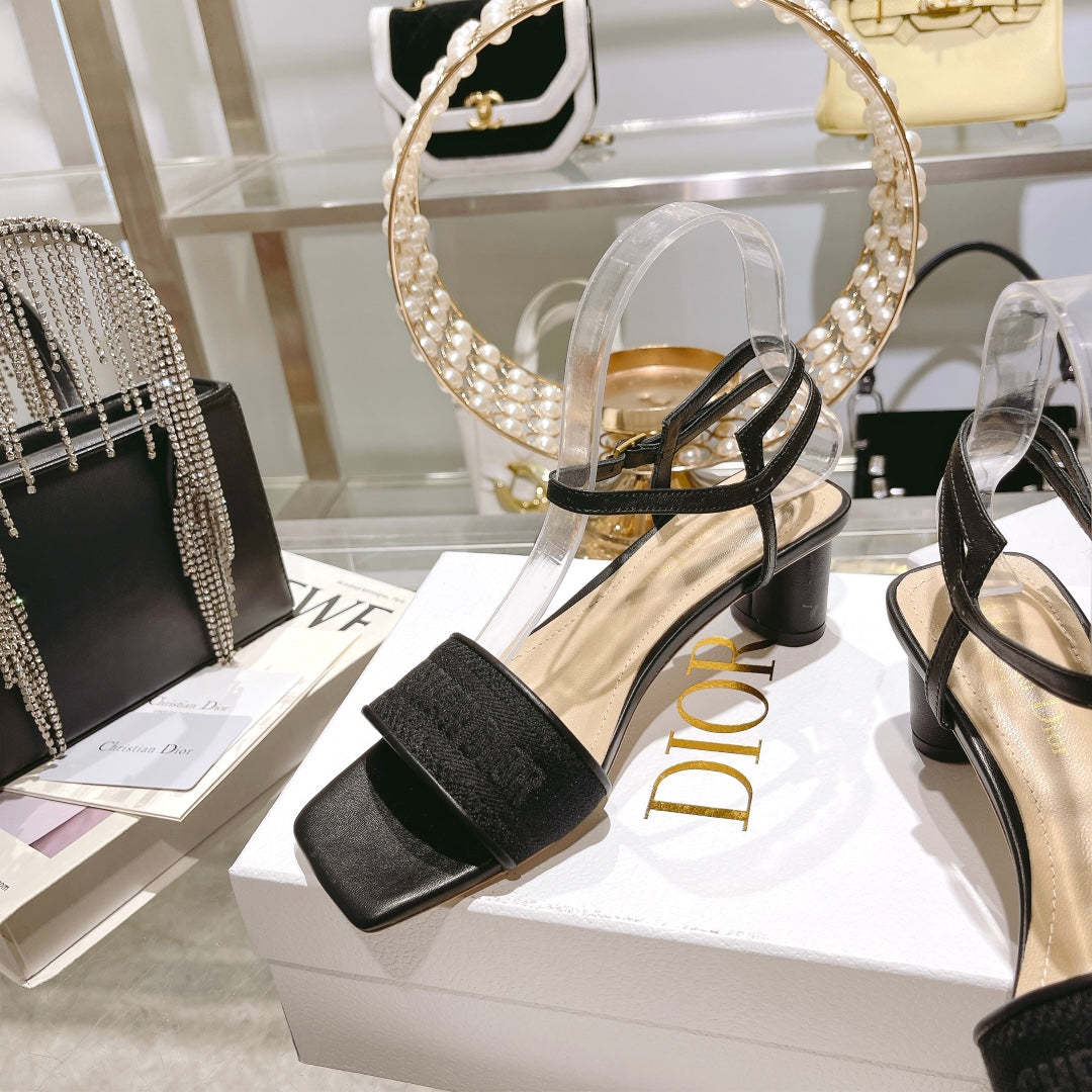Luxury Shoes - DIR - 097
