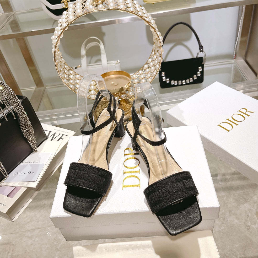 Luxury Shoes - DIR - 097