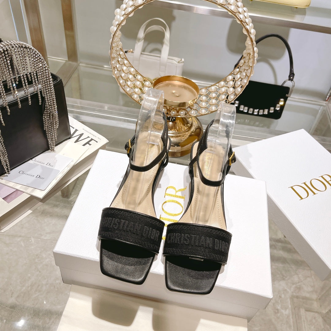 Luxury Shoes - DIR - 097