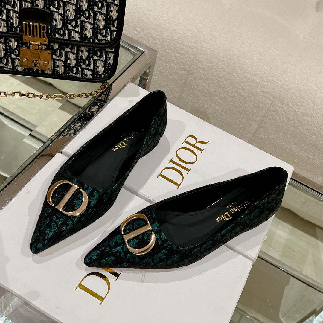 Luxury Shoes - DIR - 048