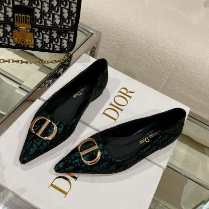 Luxury Shoes - DIR - 048