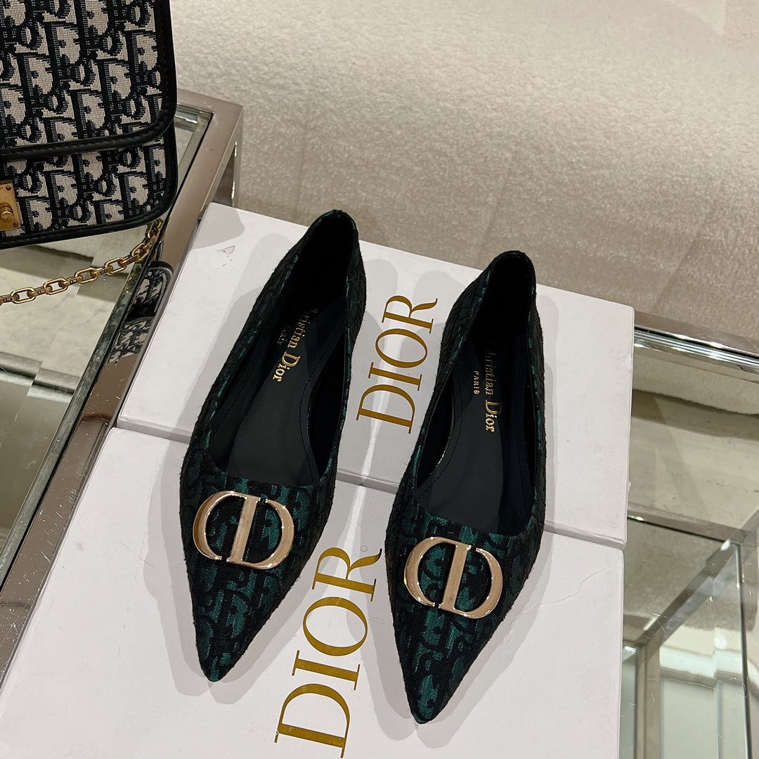 Luxury Shoes - DIR - 048