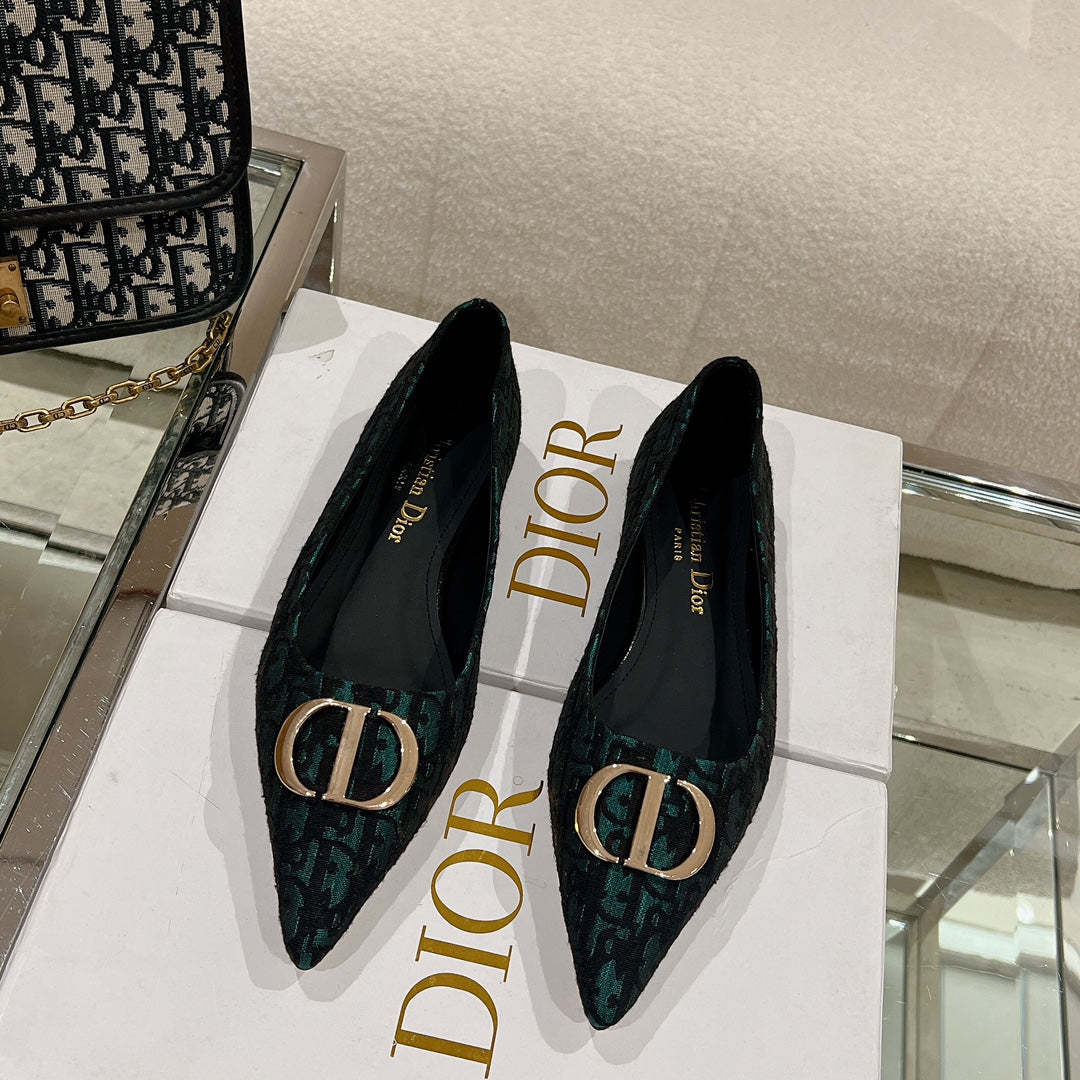 Luxury Shoes - DIR - 048