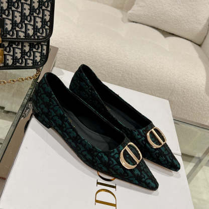 Luxury Shoes - DIR - 048