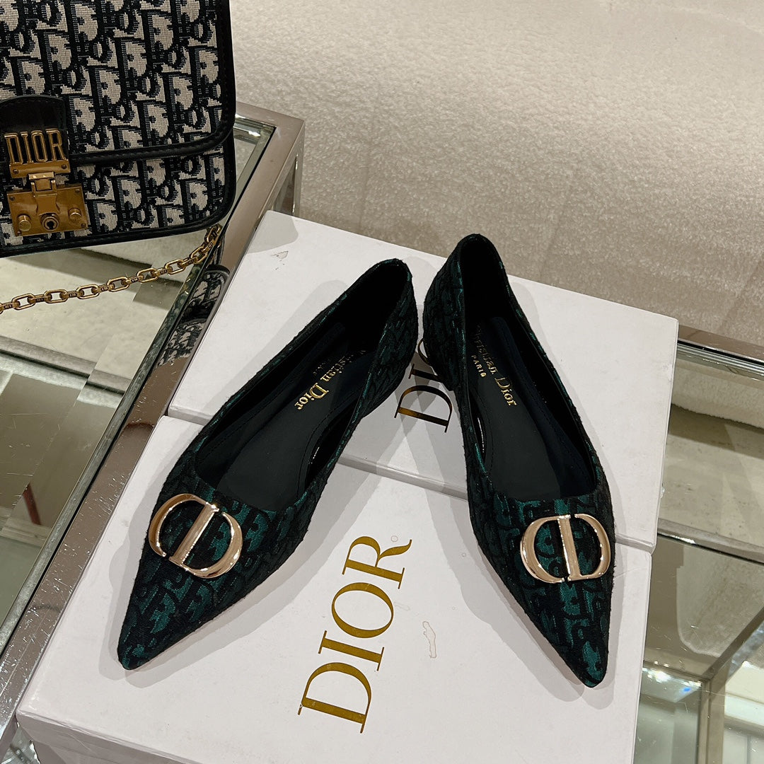 Luxury Shoes - DIR - 048