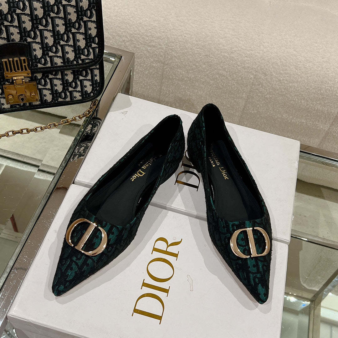 Luxury Shoes - DIR - 048