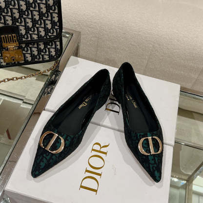 Luxury Shoes - DIR - 048