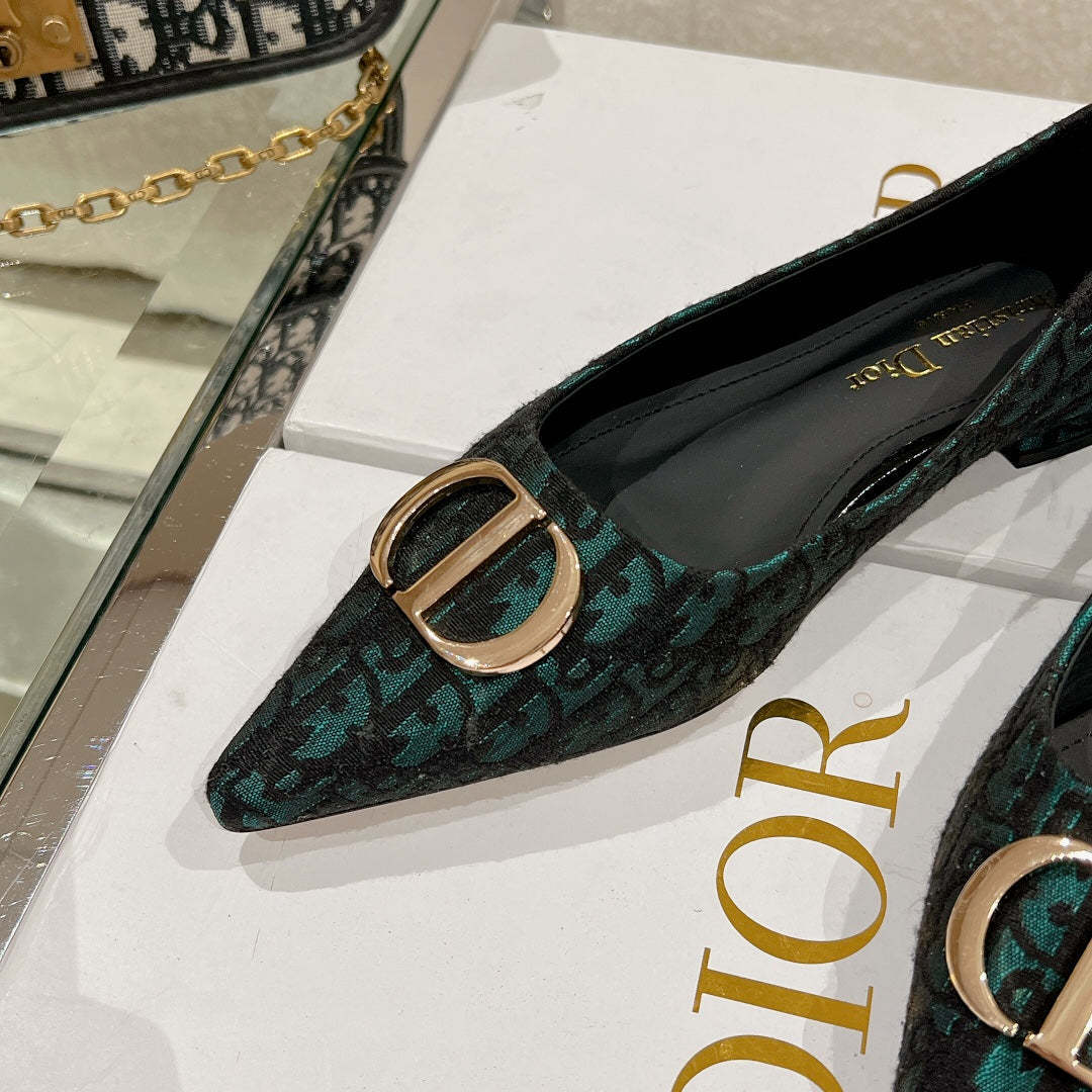 Luxury Shoes - DIR - 048