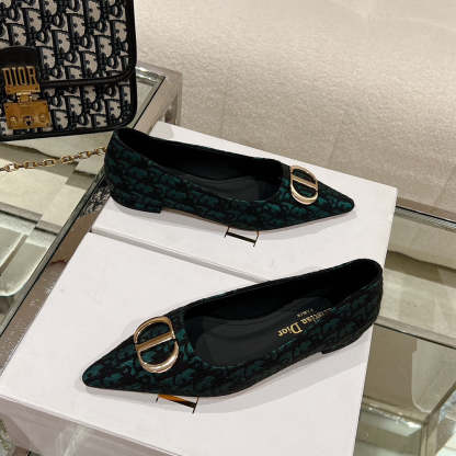 Luxury Shoes - DIR - 048