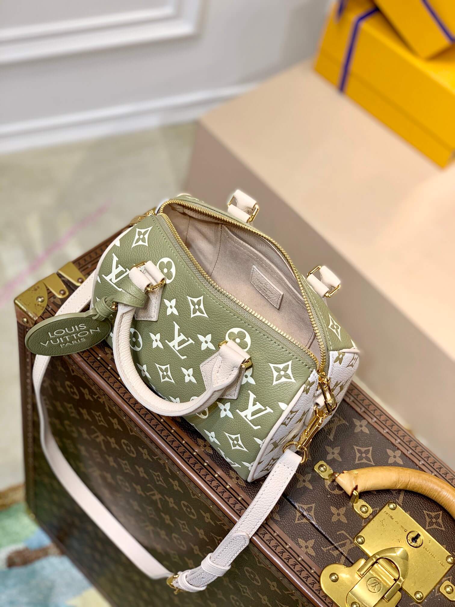 M46118 Speedy Bandoulière 20 Monogram Empreinte green
