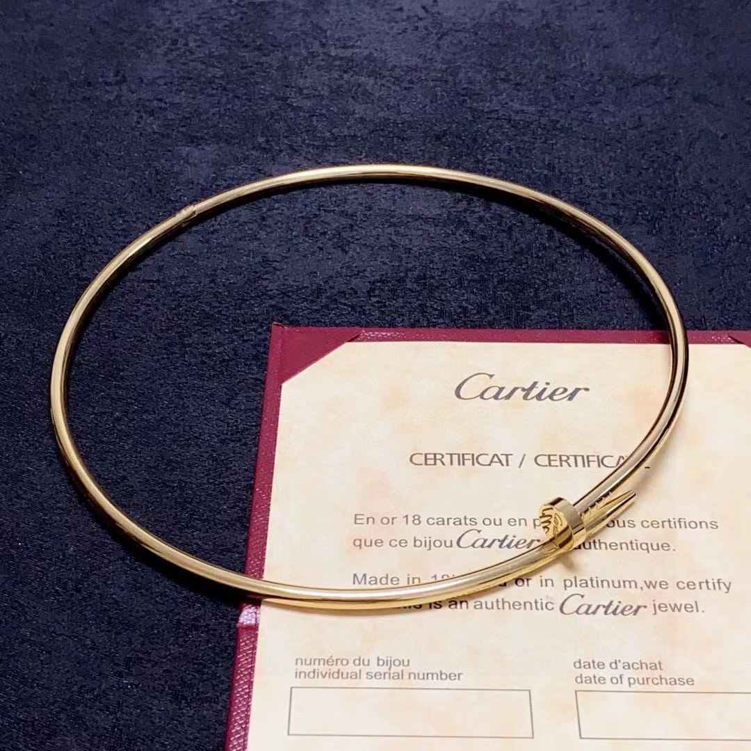 Cartier Necklace 