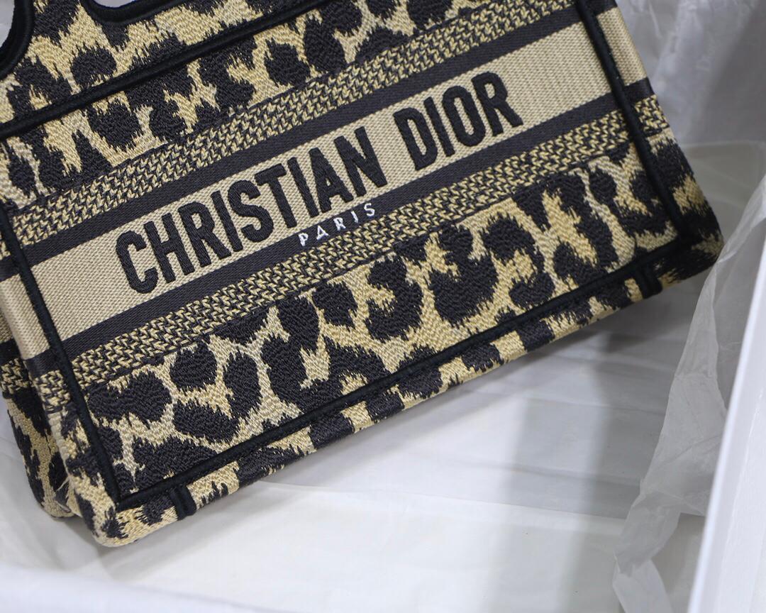 Dior Mizza Mini Book Tote