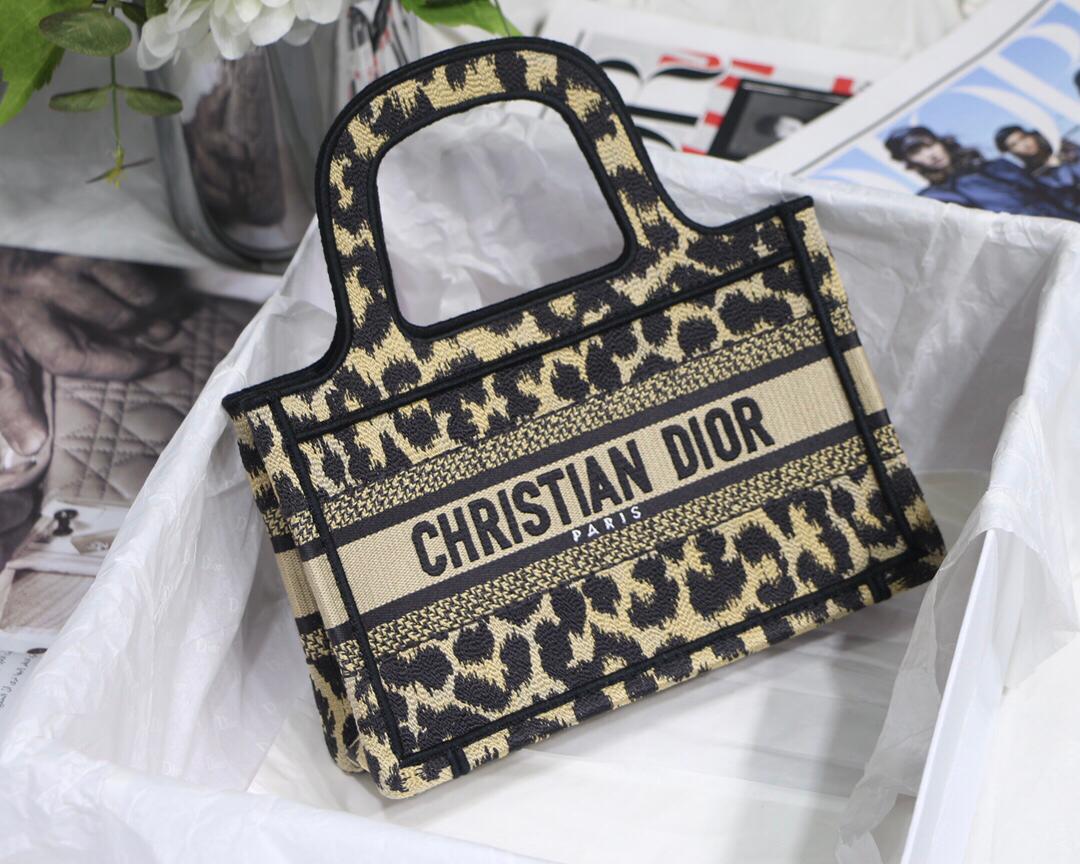 Dior Mizza Mini Book Tote
