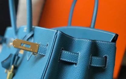 Hermes Birkin 25