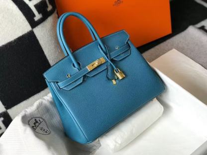 Hermes Birkin 25