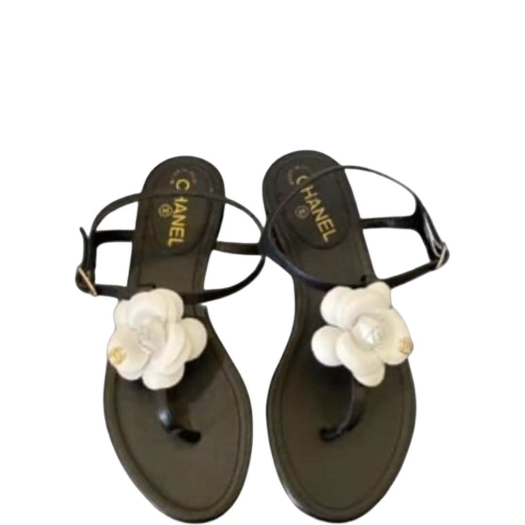 SANDAL CHL JELLY WHITE RUBBER CAMELLIA CC LOGO SANDALS BLACK