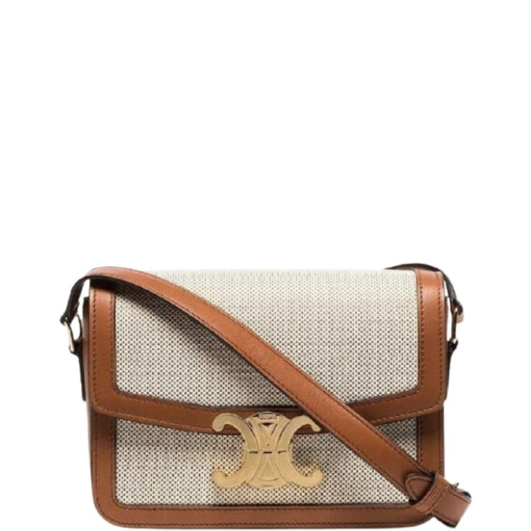 CE CLASSIQUE TRIOMPHE BAG IN TEXTILE AND CALFSKIN 22CM