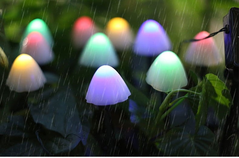 e44c52d2cb239f7e32a76d87a82beb