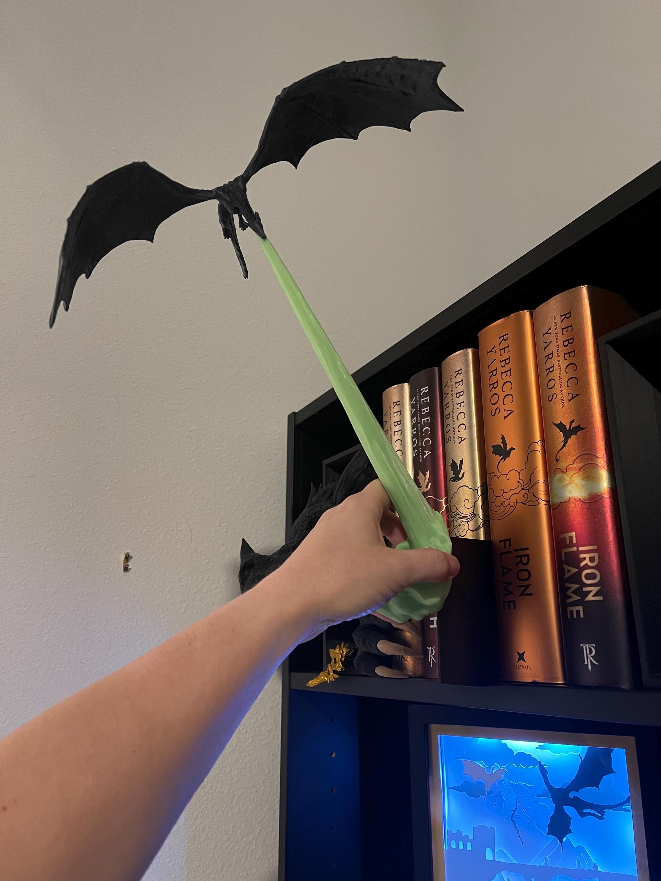 Dragon Flame Book Nook