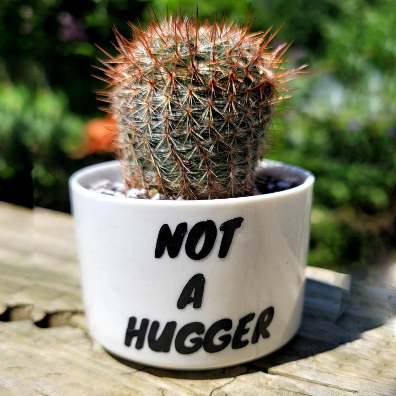 Funny Ceramic Plant Pot