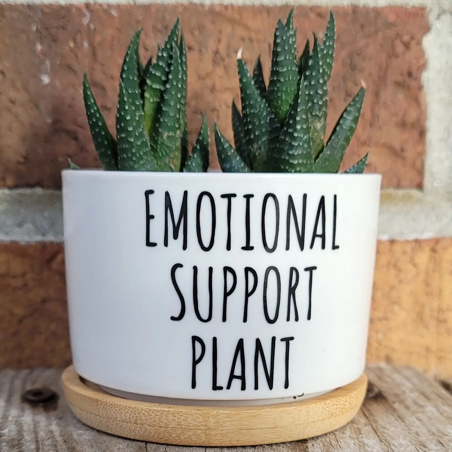 Sassy Sayings Ceramic Plant Pot