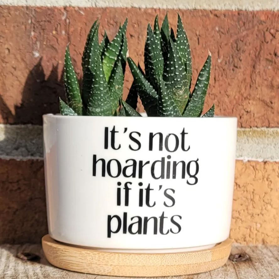 Sassy Sayings Ceramic Plant Pot