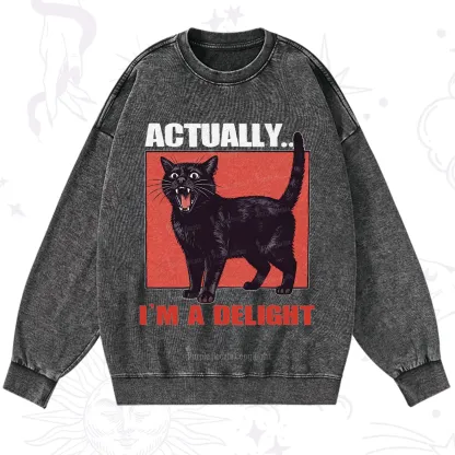 Purplehecate Actually Im a Delight Washed Sweatshirt