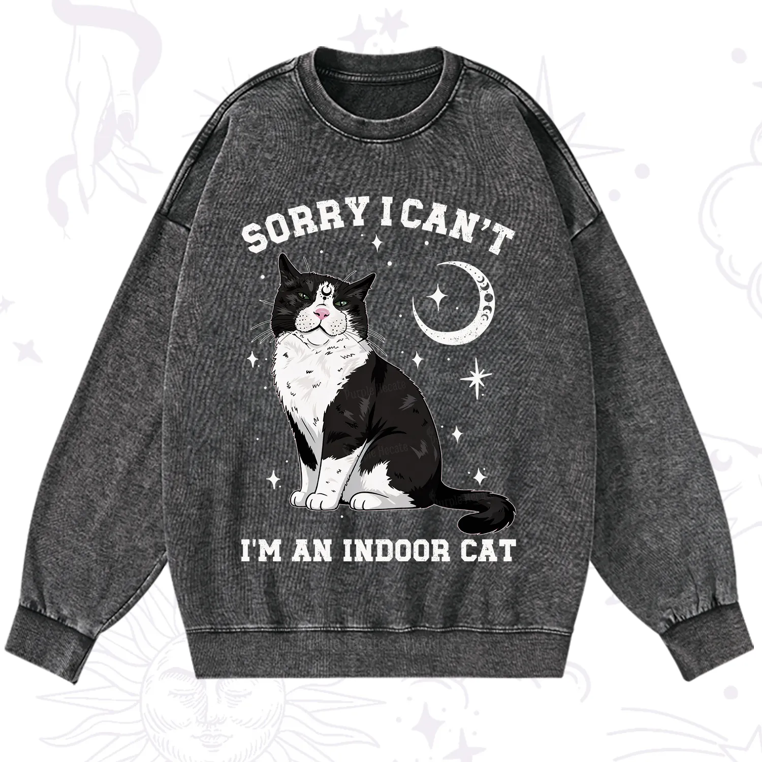 Purplehecate Sorry I Can't Go I'm an Indoor Cat Washed Sweatshirt