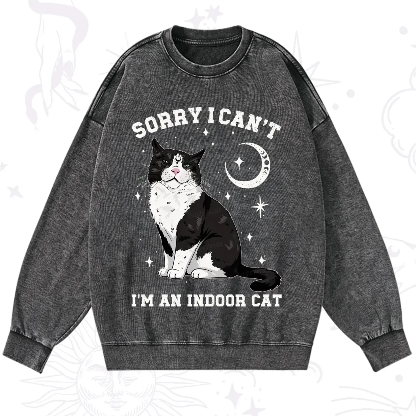 Purplehecate Sorry I Can't Go I'm an Indoor Cat Washed Sweatshirt