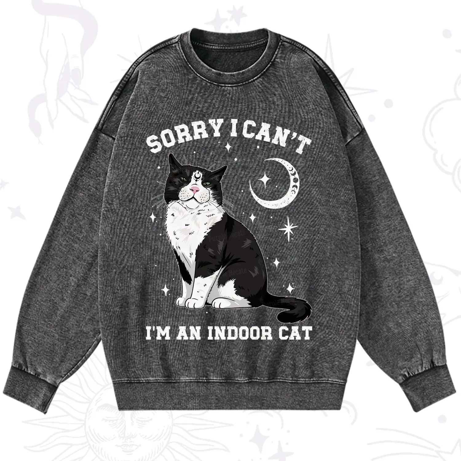 Purplehecate Sorry I Can't Go I'm an Indoor Cat Washed Sweatshirt
