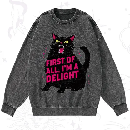 Purplehecate First Of All I'm A Delight Cat Washed Sweatshirt