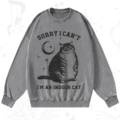 Purplehecate Sorry I Can't Go I'm an Indoor Cat Washed Sweatshirt