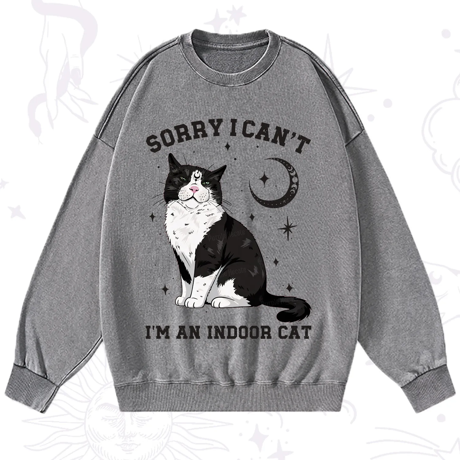 Purplehecate Sorry I Can't Go I'm an Indoor Cat Washed Sweatshirt