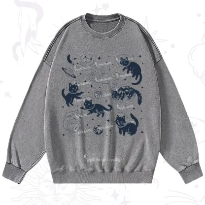 Purplehecate Cats in Space Washed Sweatshirt