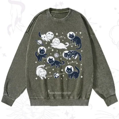 Purplehecate Cats in Space Washed Sweatshirt