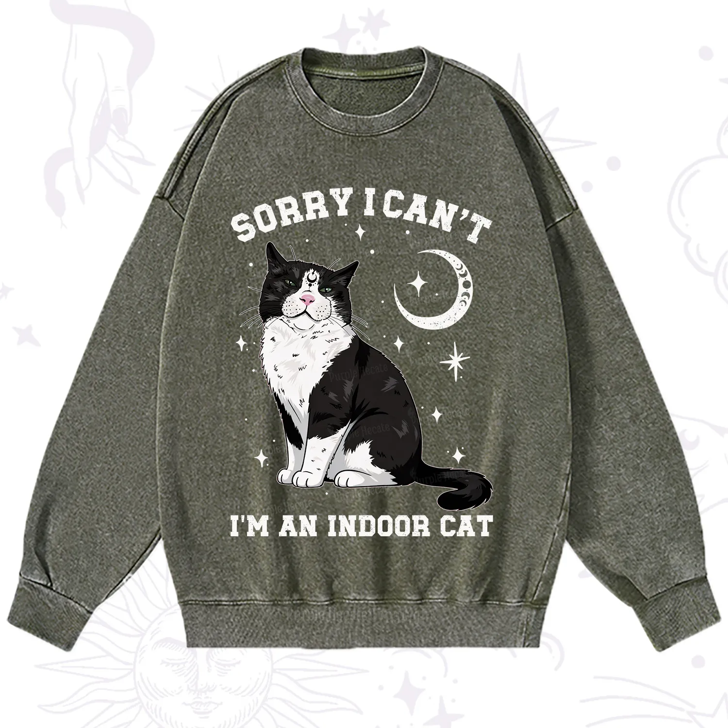 Purplehecate Sorry I Can't Go I'm an Indoor Cat Washed Sweatshirt