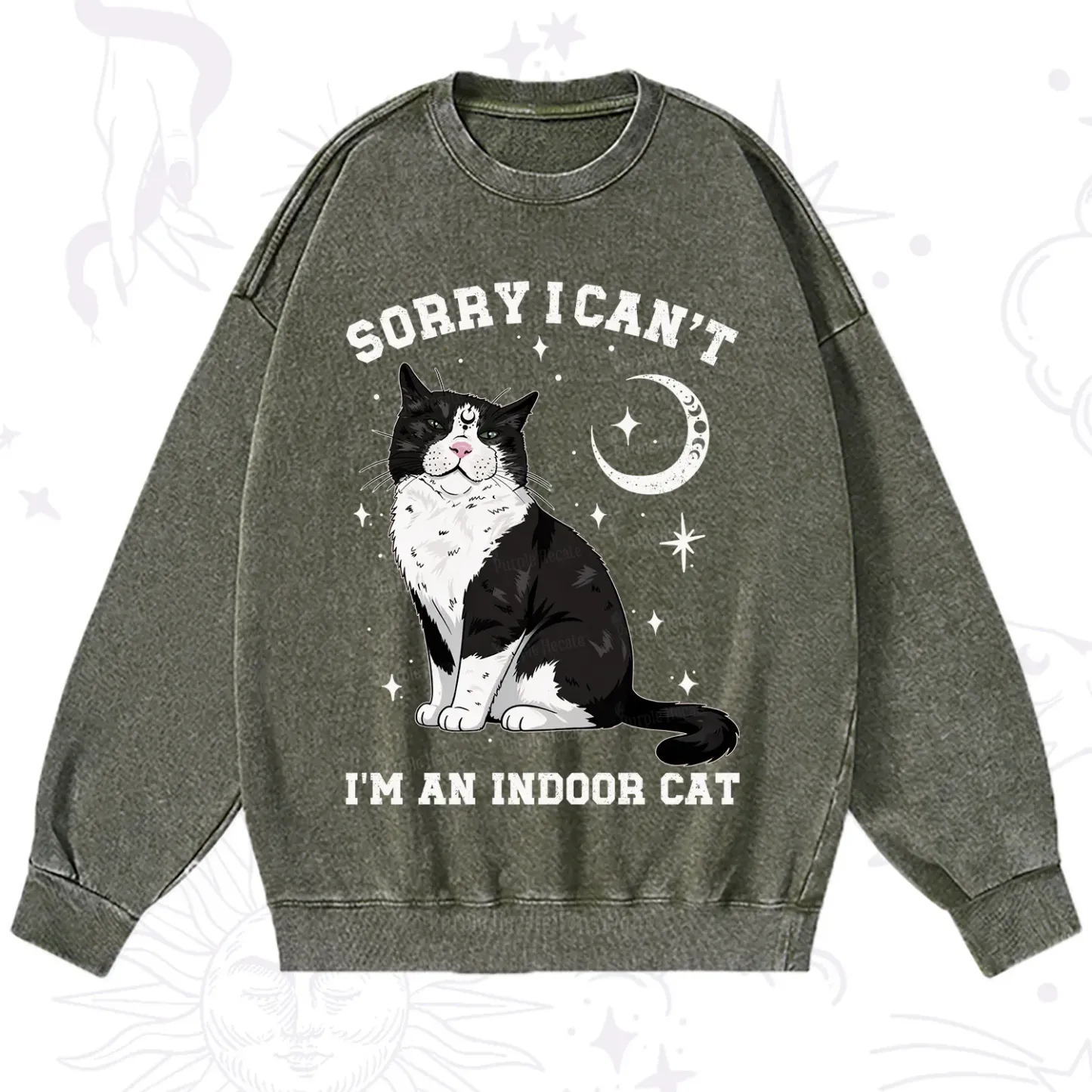 Purplehecate Sorry I Can't Go I'm an Indoor Cat Washed Sweatshirt