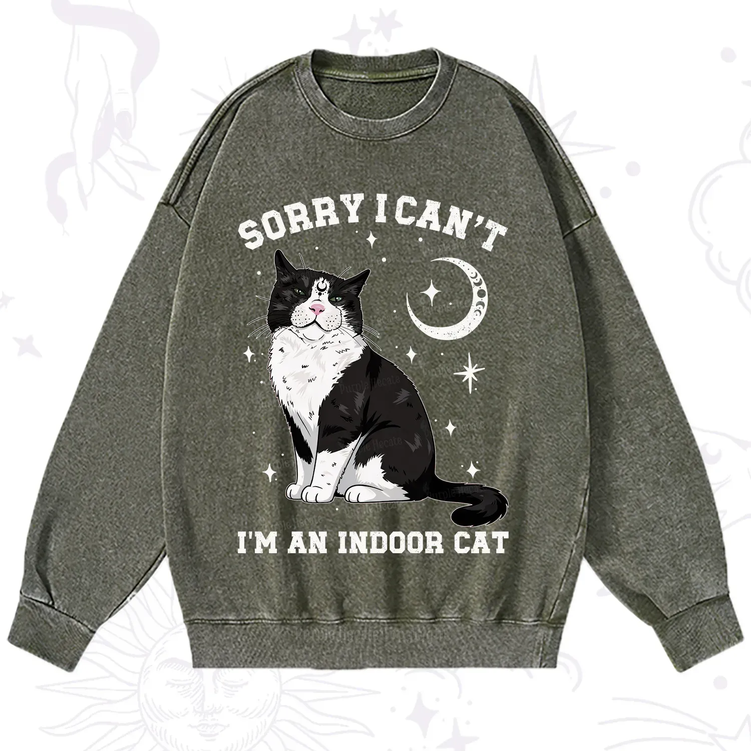 Purplehecate Sorry I Can't Go I'm an Indoor Cat Washed Sweatshirt