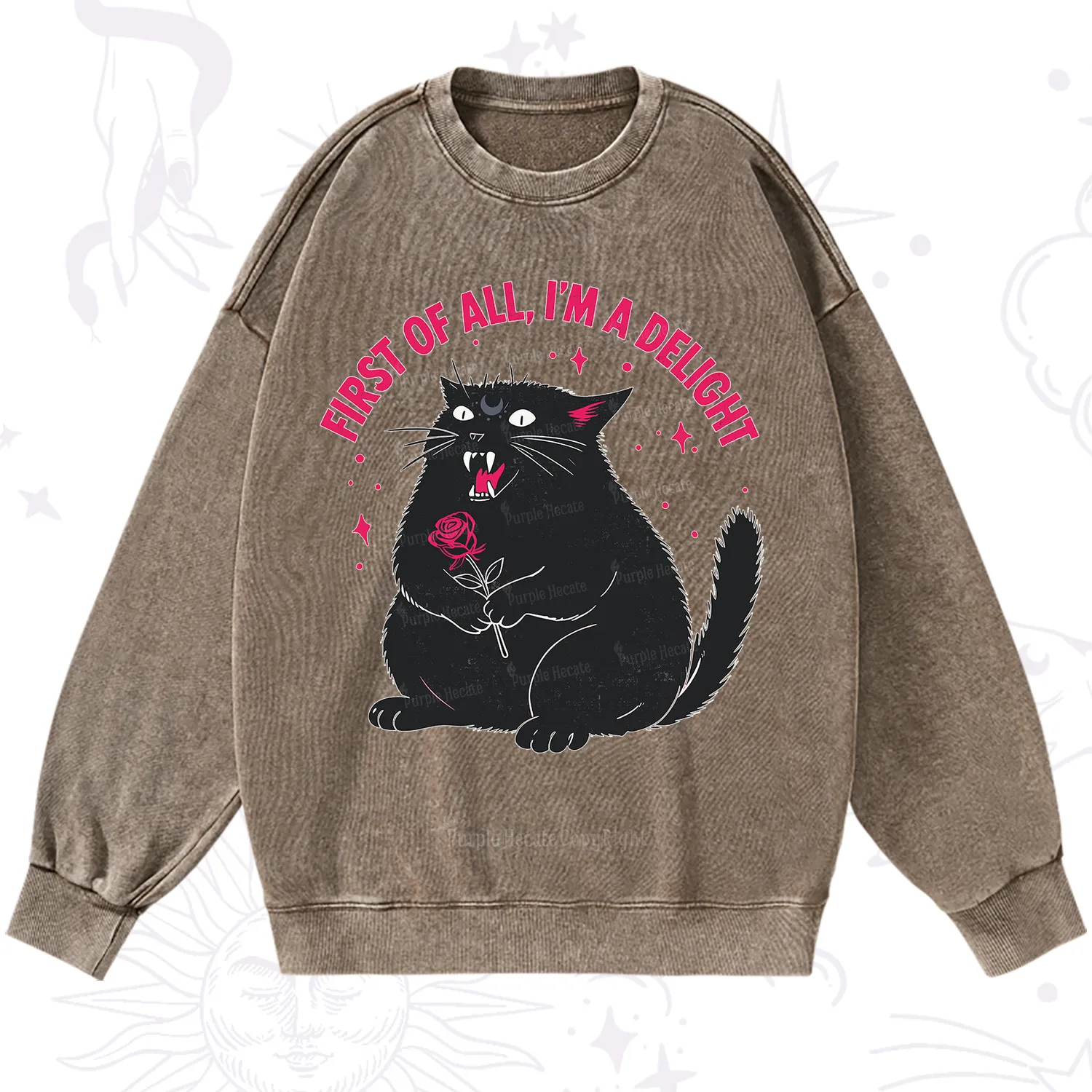 Purplehecate First Of All I'm A Delight Cat Washed Sweatshirt