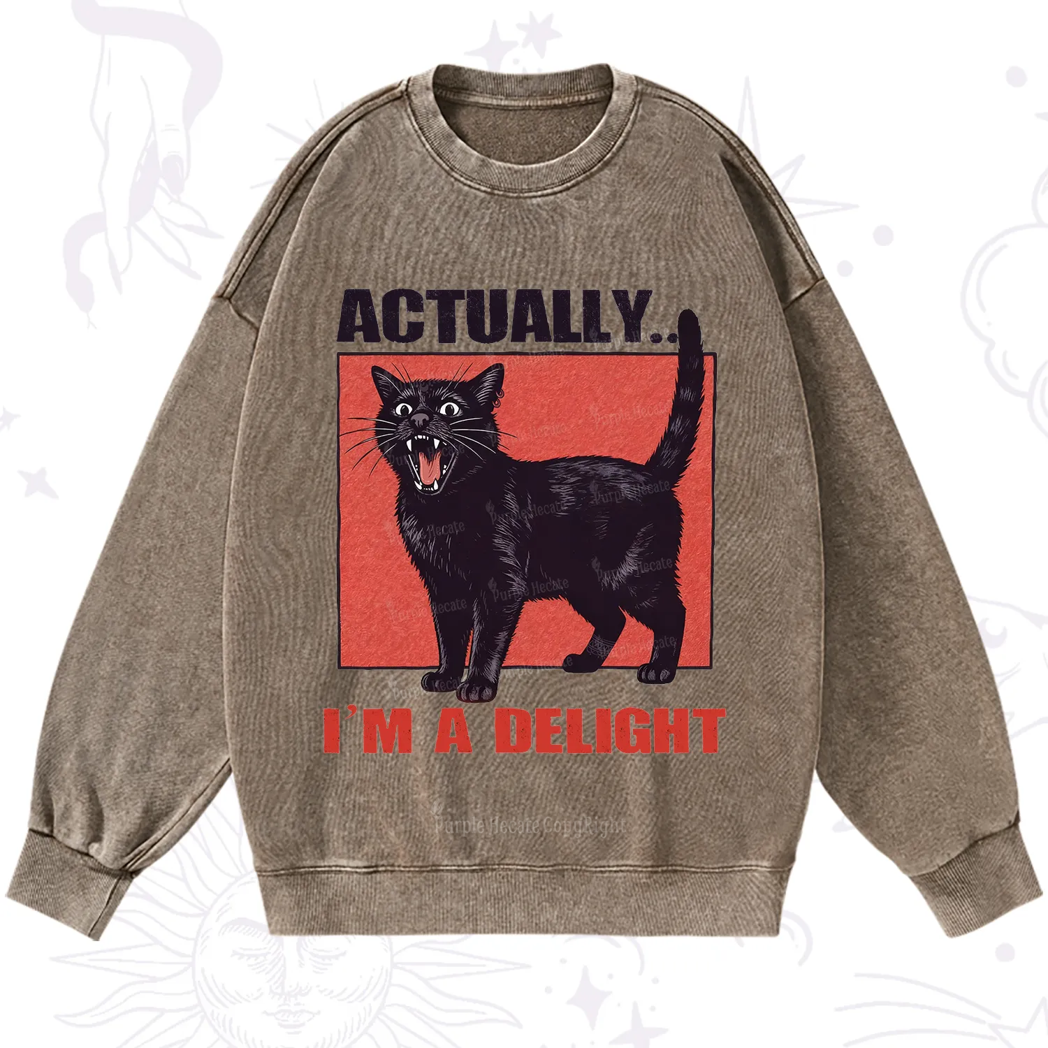 Purplehecate Actually Im a Delight Washed Sweatshirt