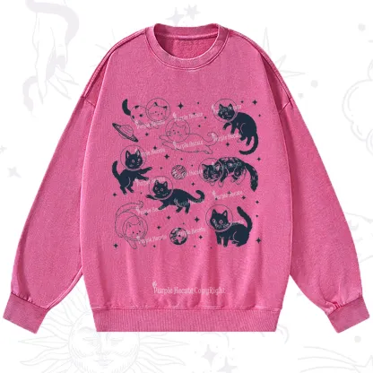 Purplehecate Cats in Space Washed Sweatshirt